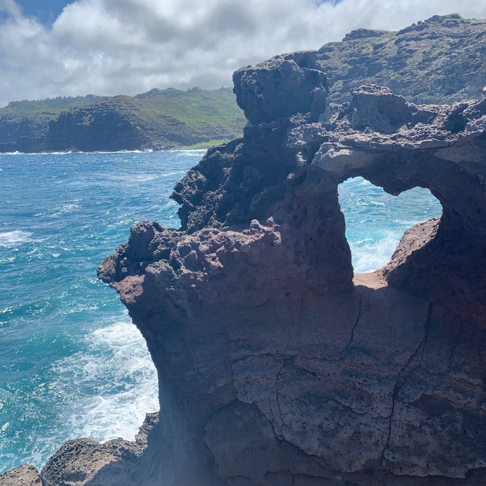 Meet your Posher, Wendy